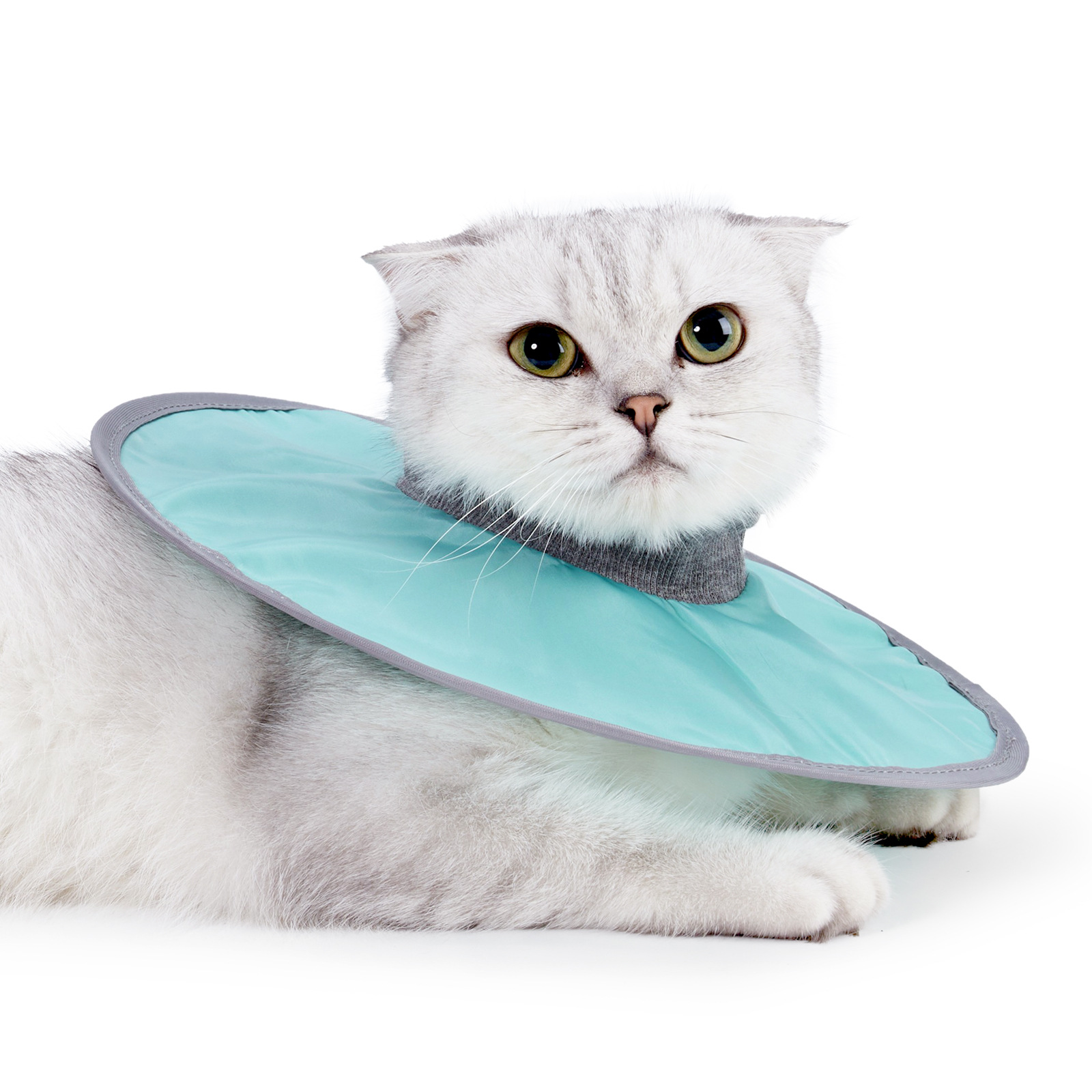 Coleira de cone de gato ajustável, coleira de recuperação de gato após cirurgia, cura de feridas, pescoço de gato, coleira elisabetana para gato gatinho