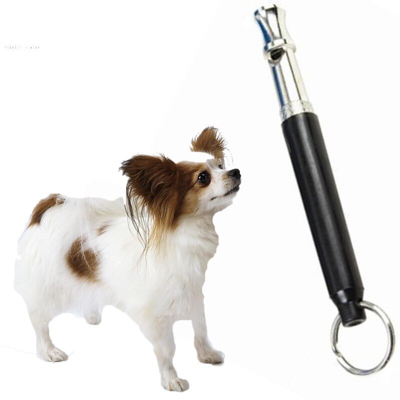 Zwarte Hond Puppy Verstelbare Ultrasoon Geluid Training Gehoorzaamheid Fluitje