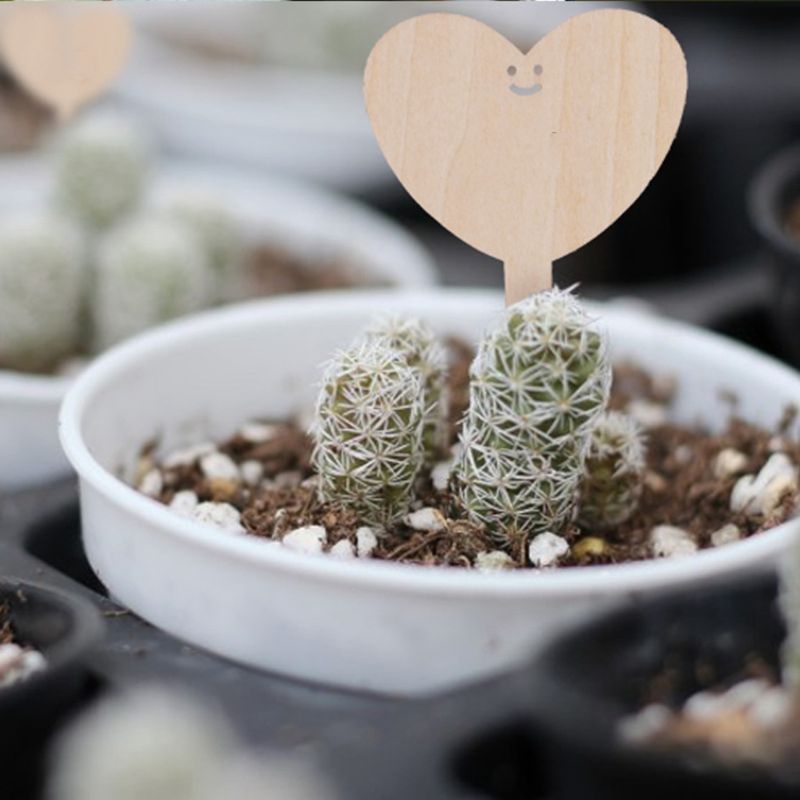 50 st miljövänliga träväxtetiketter skyltar taggar trädgårdsmarkeringar för frö krukväxter blommor grönsaker