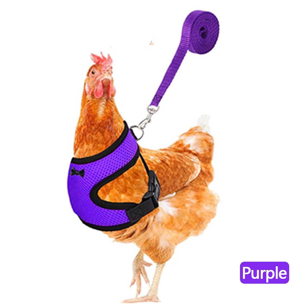 Breathable Mesh Chicken Duck Vest Leashes Poultry Hen Pet Harness With Matching Training for Walking Duck Goose Hen Rooster: Purple-XS