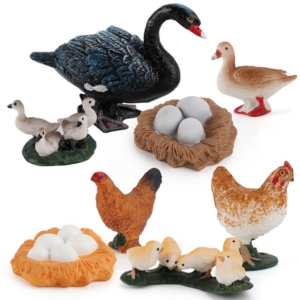 Kip Eend Gans Zwaan Groei Cyclus Simulatie Gevogelte Speelgoed Thuis Bureau Ornament Home Desk Ornament Simulatie Gevogelte Speelgoed