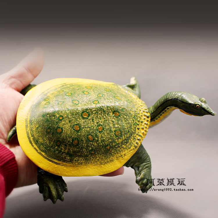 Miniaturen Sea Animal Model Lederschildpad Rode Oren Schildpad Land Schildpad Oceanen Wereld Aquarium Decor Action Figures Beeldjes Speelgoed