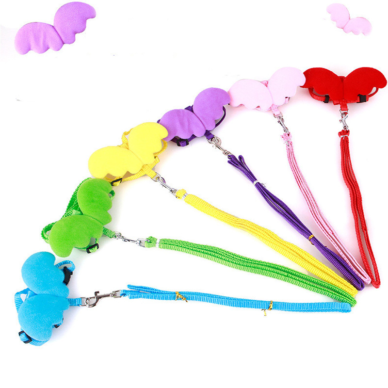 Kleine Hond Kat Riem Leuke Angel Wing Set Verstelbare Hond Met Nylon Riem Angel Wing Kraag Huisdier Lood Kat Hond met Leuke Accessoires