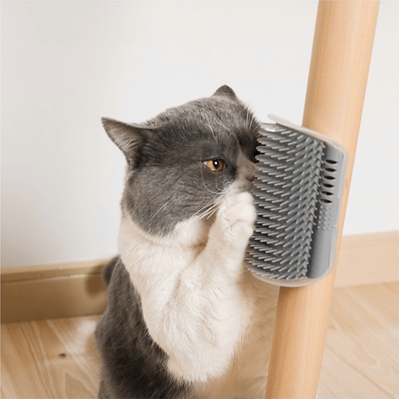 Katze Massage Kamm Ecke Haustier Kamm Scratcher Tür Zauberstab Ecke Borsten Pinsel Kunststoff Haar Entfernung Werkzeug Waren Für Katzen