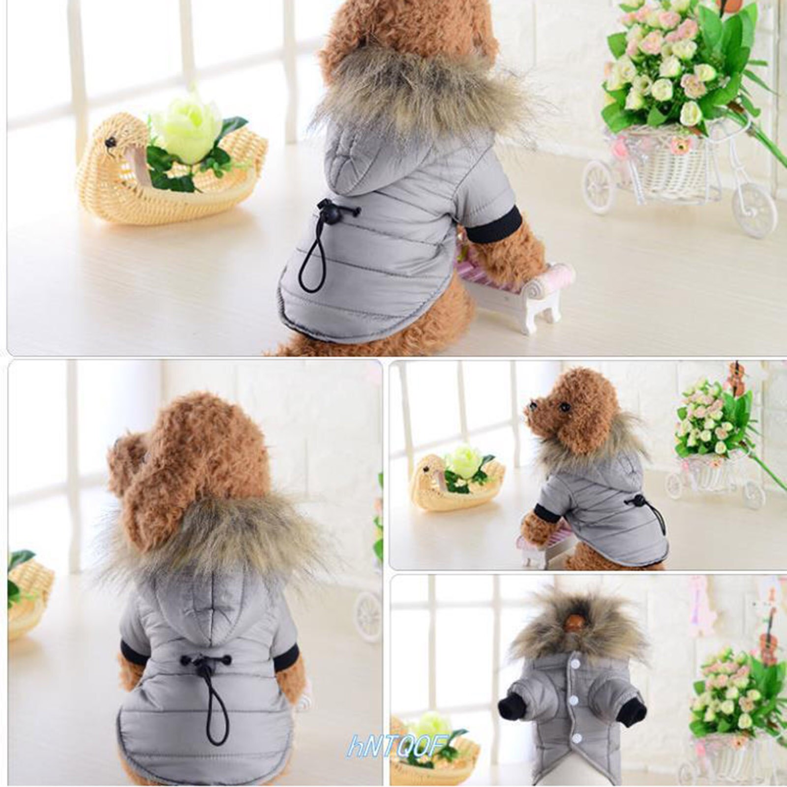 Manteau pour chien de compagnie vestes rembourrées en coton sweat à capuche chiot doux avec chapeau fournitures d'hiver HYD88