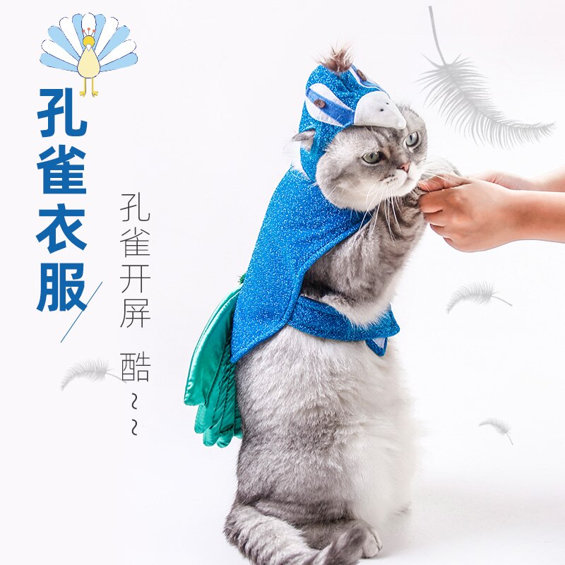 Pet Peacock Costume With Hat for Small Dogs Cats Blue
