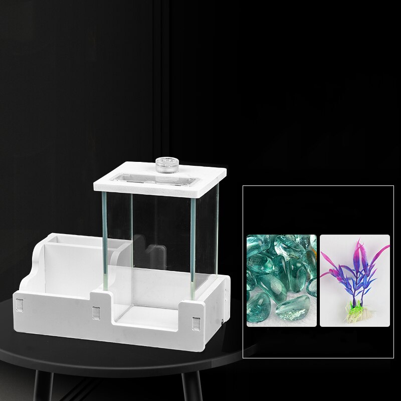 Solid Wood Storage Fish Tank Small Fighting Fish Bowls Ecological Tank Mini Landscape Aquarium Desktop Fish Tank Decoration: White