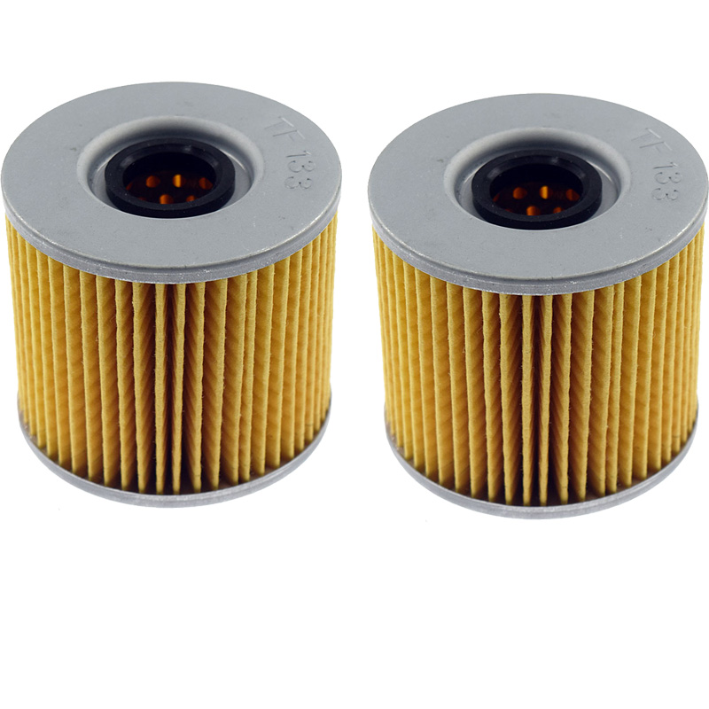 Para Suzuki GS500 F-K4... K5... K6... K7... K8... K9... L0 2004, 2005, 2006, 2007, , , GS 500 F GS500F 2004 filtro de aceite para motocicleta: 2 PC