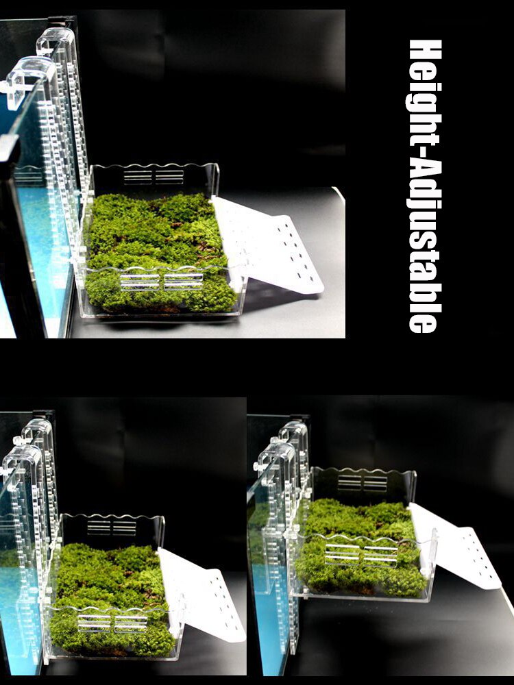 Turtle Basking Platform Height-Adjustable Hanging Amphibian Platform Fish Tank Aquarium Platform Tortoise Resting Terrace