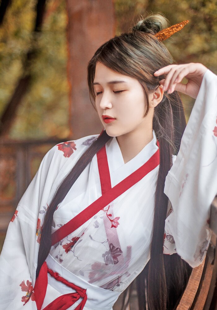 Hanfu Dress Ancient Chinese Costume Chinese Style Embroidery Tang Dynasty Traditional Nation Dance Princess Dress