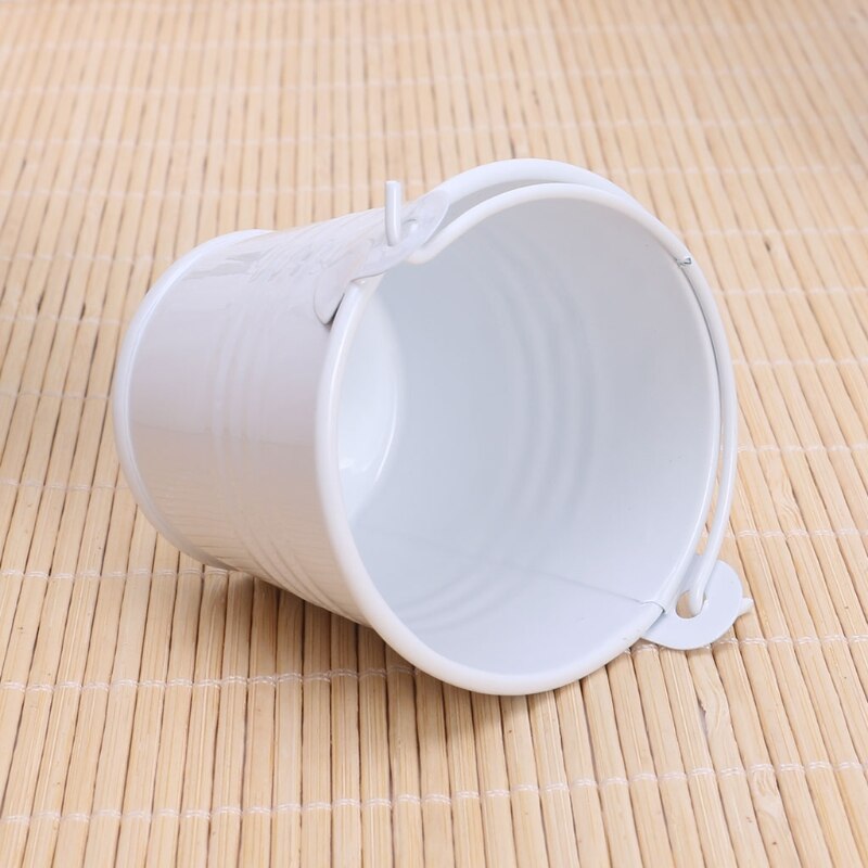 Mini Flower Pot Metal Barrel Plant Succulent Flowerpot Home Office Decor