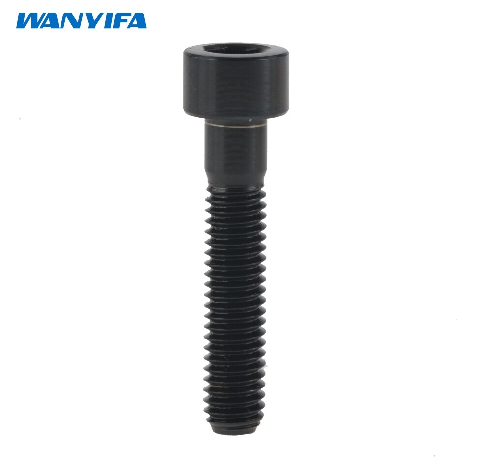 Wanyifa Titanium Ti Bolt M6X20 25 30 35mm Stigma Screw for MTB/Road Bicycle Seatpost Headset Brake