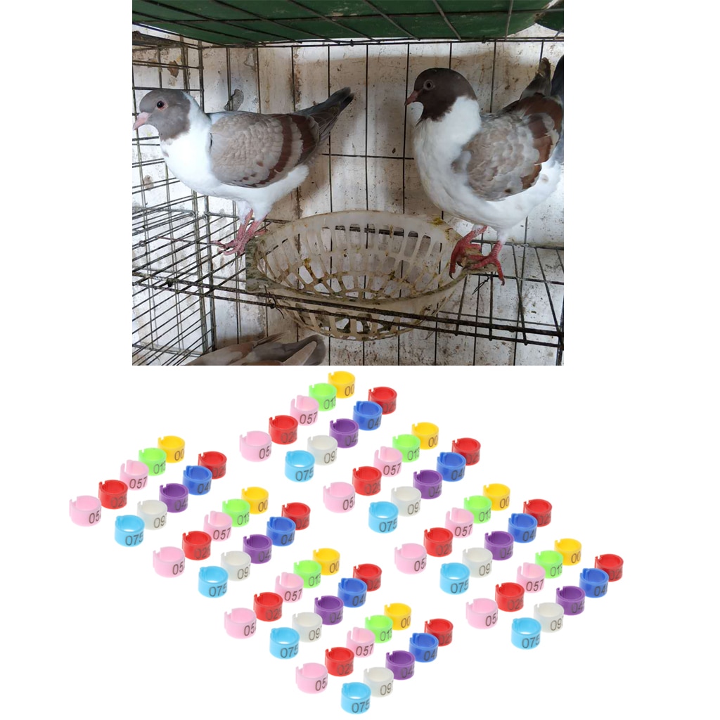 50 Uds identificación palomas banda bayoneta identificación anillo loro pájaro de apertura paloma anillo para pata suministros pájaro electrodomésticos