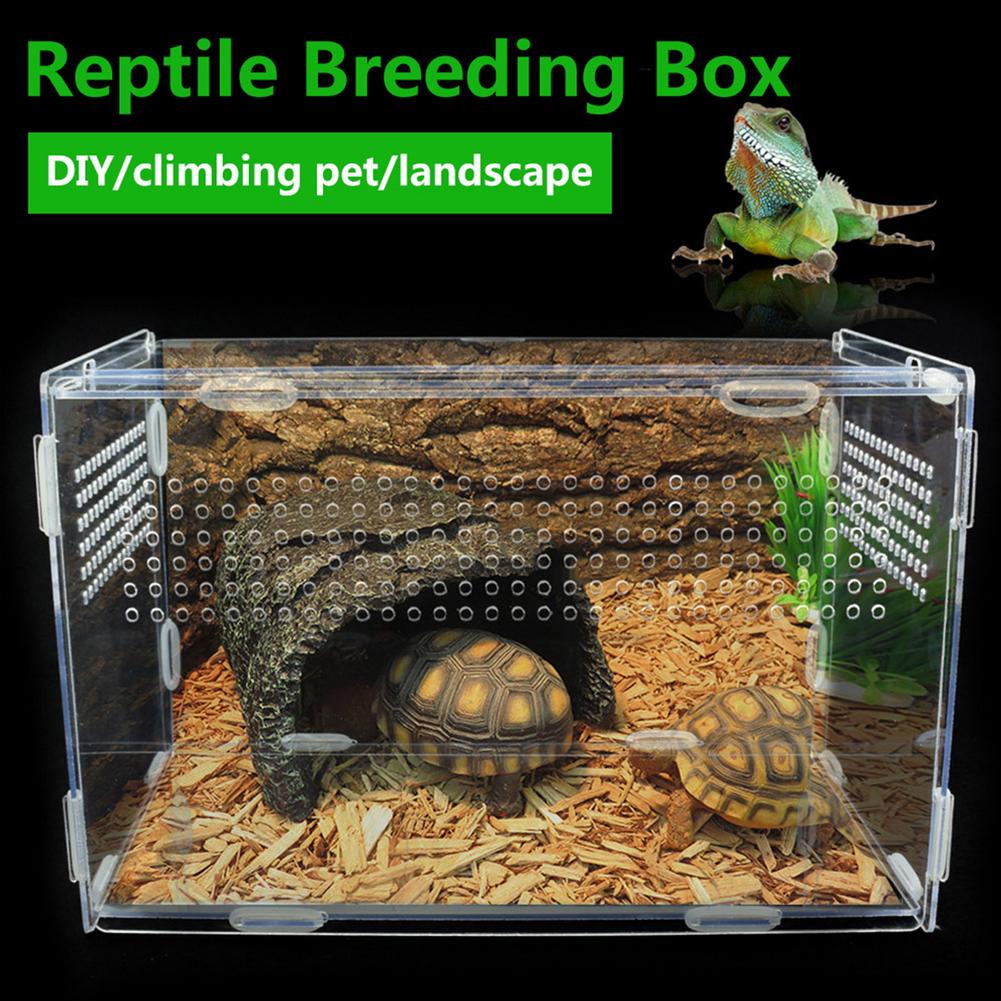 Caixa ornamental de terrário camaleão, para répteis, lagarto, centípede, aranha, caixa transparente, suprimentos para animais de estimação