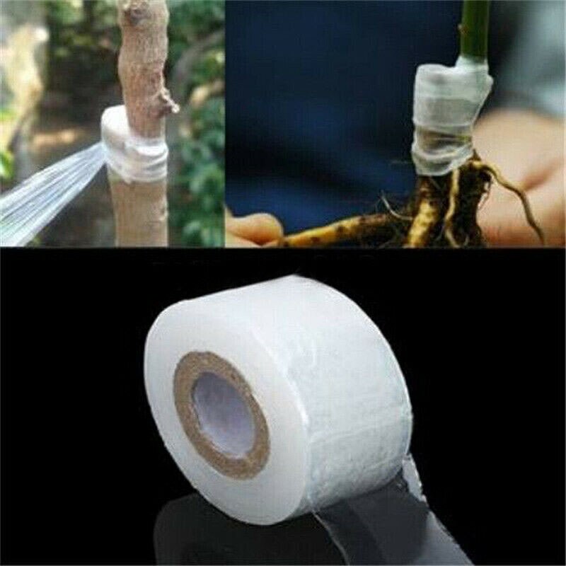 Rollo de cinta transparente para Injerto de jardín, cintas autoadhesivas para Injerto de plantas y árboles frutales, 5 uds.