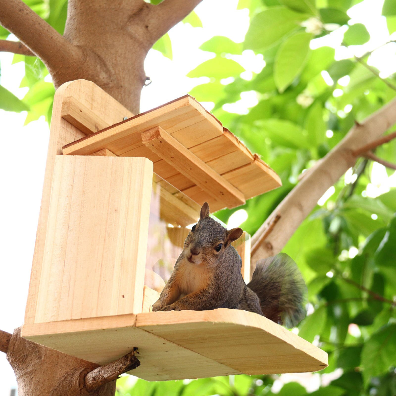 Wooden Squirrel Feeders for Outside Squirrel Feeding House for Outdoors Yard
