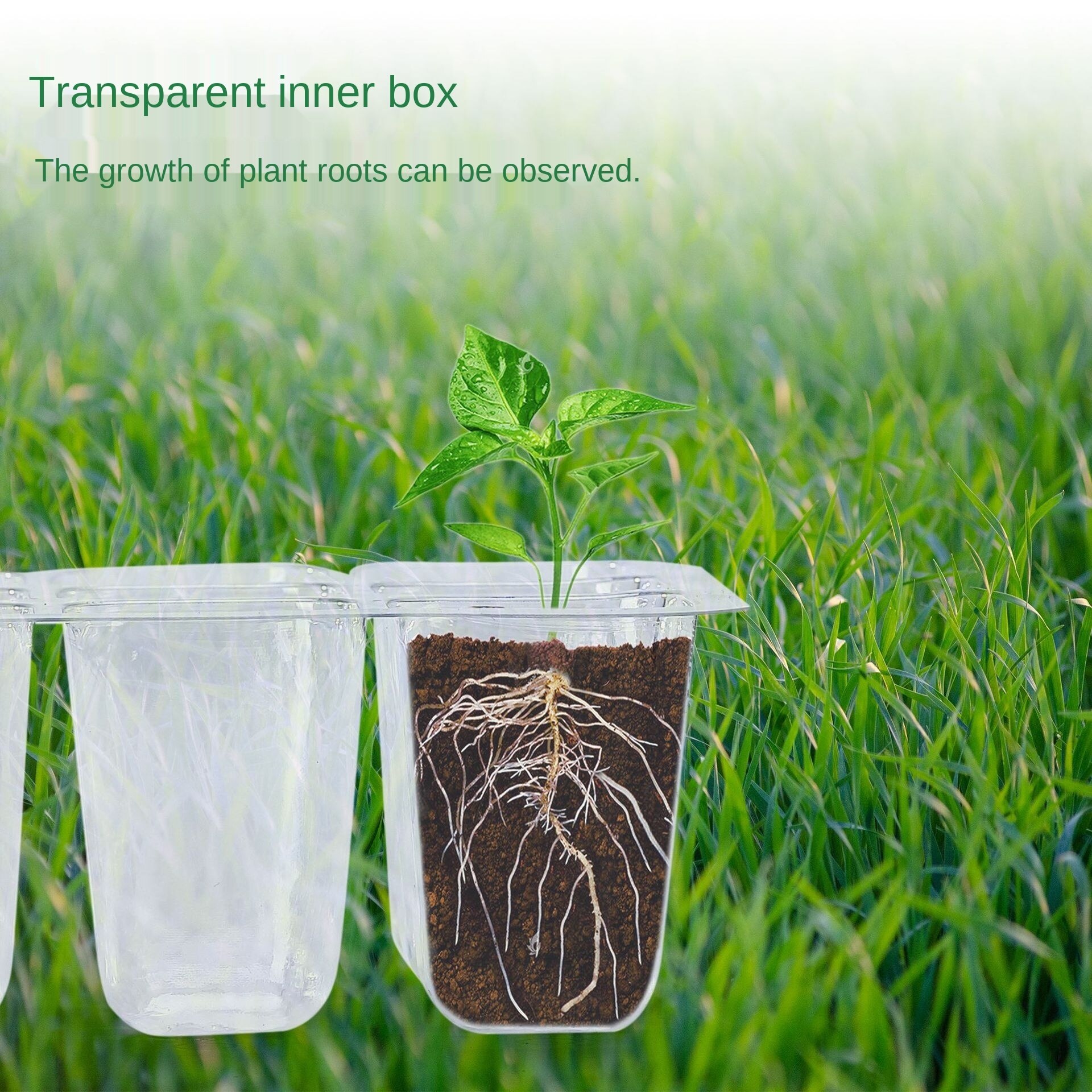 12 Hole Seedling Box 10-piece Set With Breathing Valve Sowing Heat Preservation Seedling Tray Planting Succulents In Net Pots