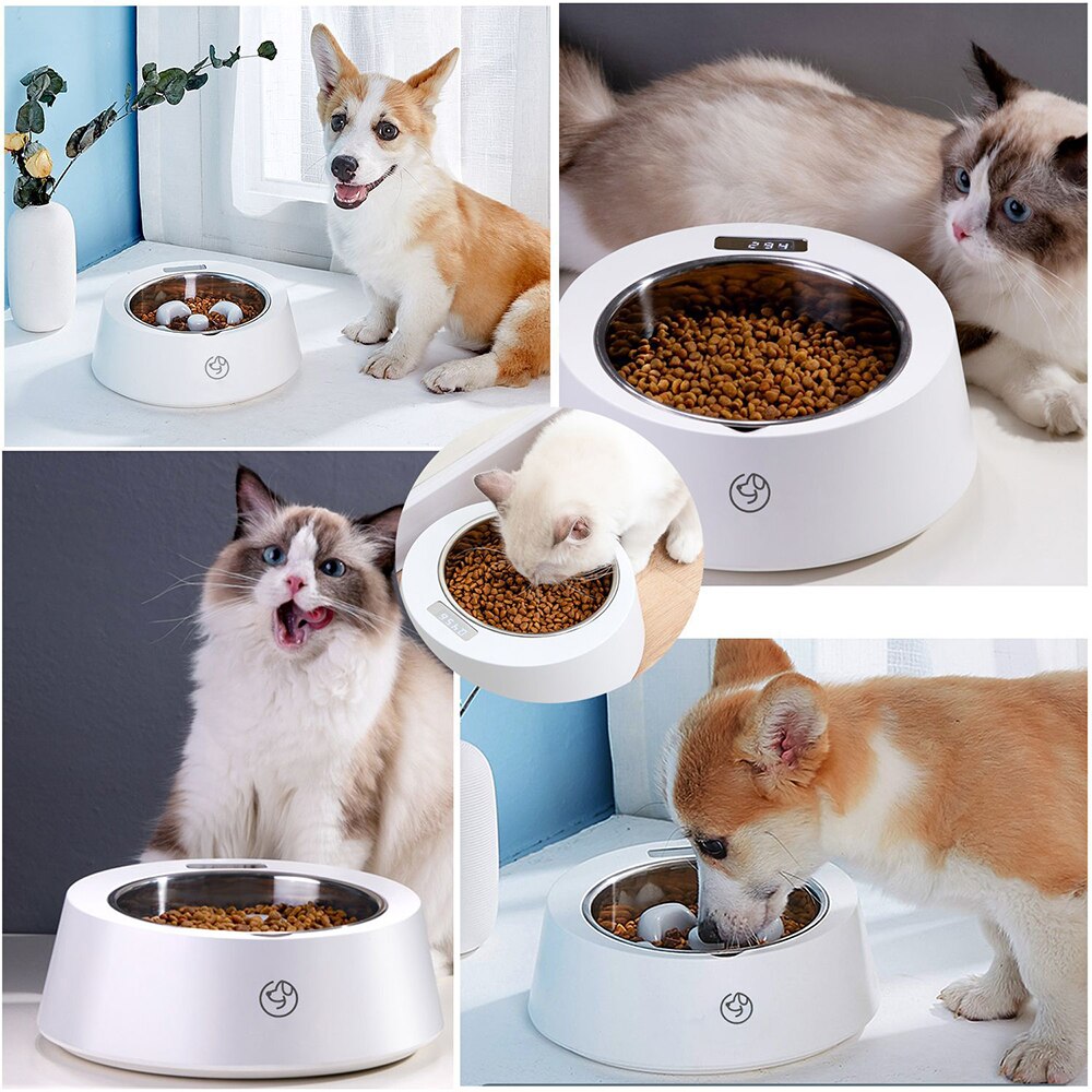 Pet Slow Feeder Bowl With Digital Scale Accurate Weighing Stainless Steel Dog Feeding Bowls Unit Switchable 5° Tilt