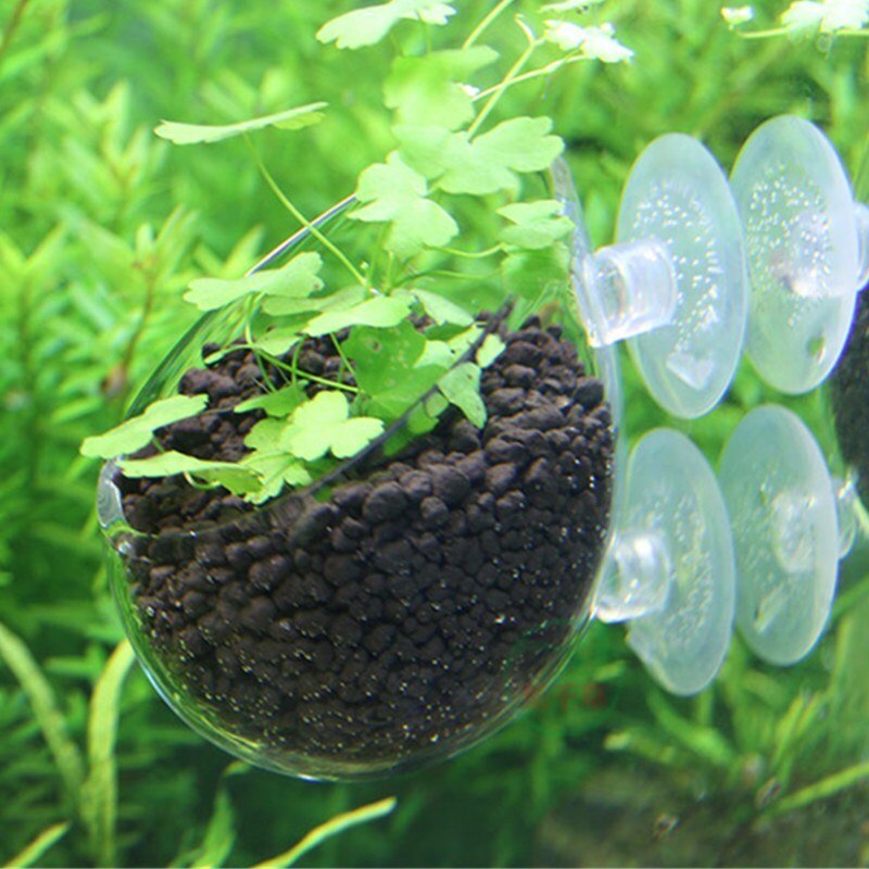 Akvarie frø vand græs potter let vandlevende plante akvarium dekoration landskab ornament
