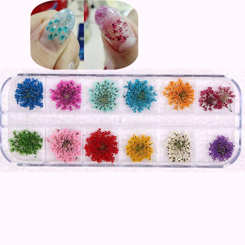 12 kleuren Natuurlijke Bloemblaadje Droog Flower Tips 3D Nail Art Bloem Wiel Decoraties Nagel Sieraden Voor UV Gel Schoonheid manicure Gereedschap