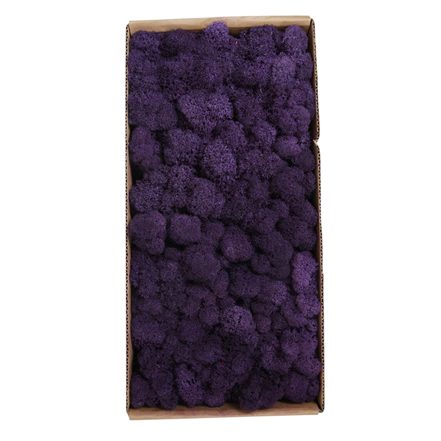 Preserved Moss Wall Decor Real Preserved Moss No Maintenance Required Naturally Preserved Moss Home Wall Party Festivals Crafts