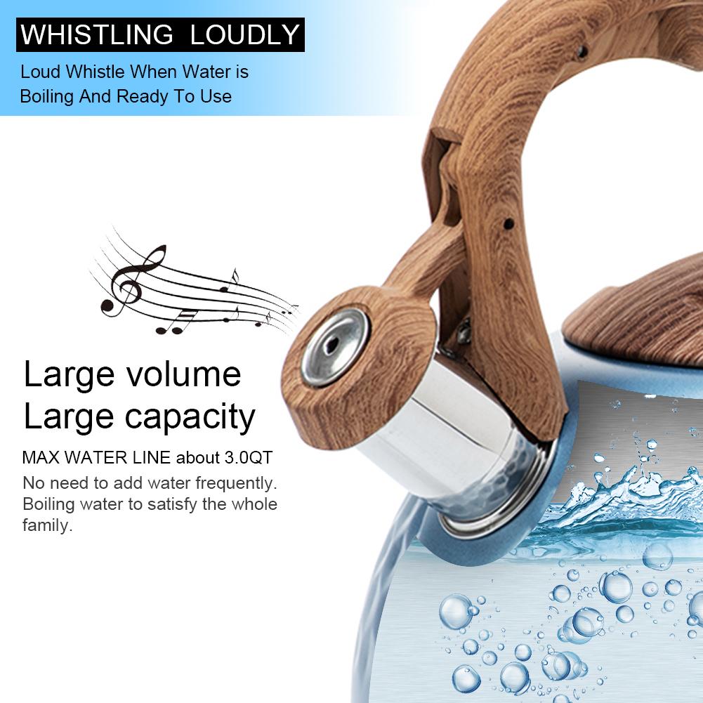 3L Stainless Steel Whistling Tea Kettle Stovetops Enamel Food Grade Tea Pot With Heat-Proof Handle For Gas Induction Cookers