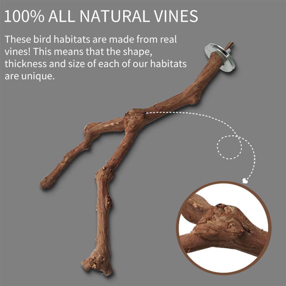 neue Arrivials 1Pc Haustier Papagei Trauben Holz Gabel Baum Zweig Stehen Gestell Spielzeug Hamster Zweig Sitzstangen Für Vogel käFeige