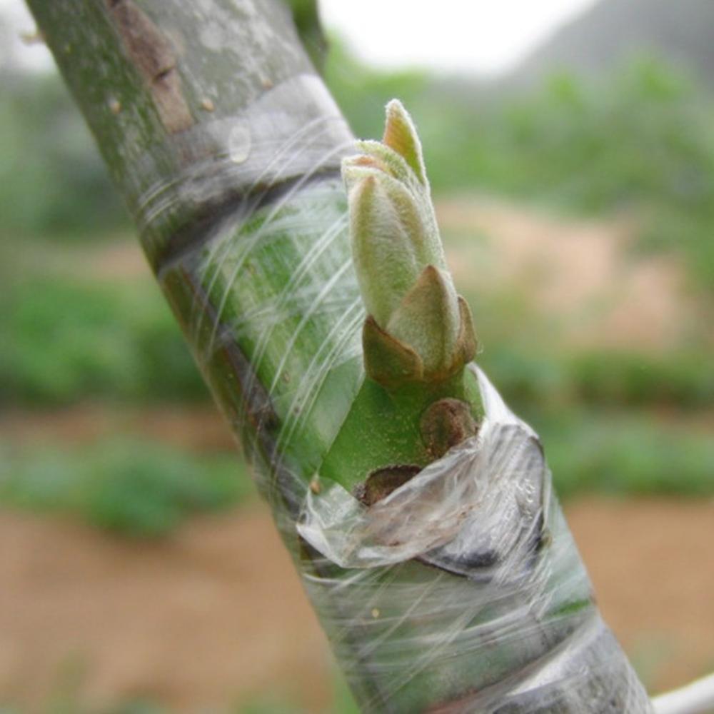 100m/ rulle podningstape strækbar selvklæbende podning film haveplante træpodning bonsai værktøjer binder tape