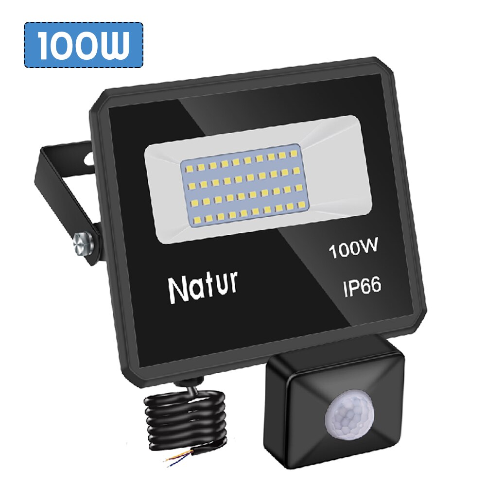 50W 100W LED flood light motion sensor 220v adjustable Pir sensor searchlight waterproof ip66 outdoor induction lighting