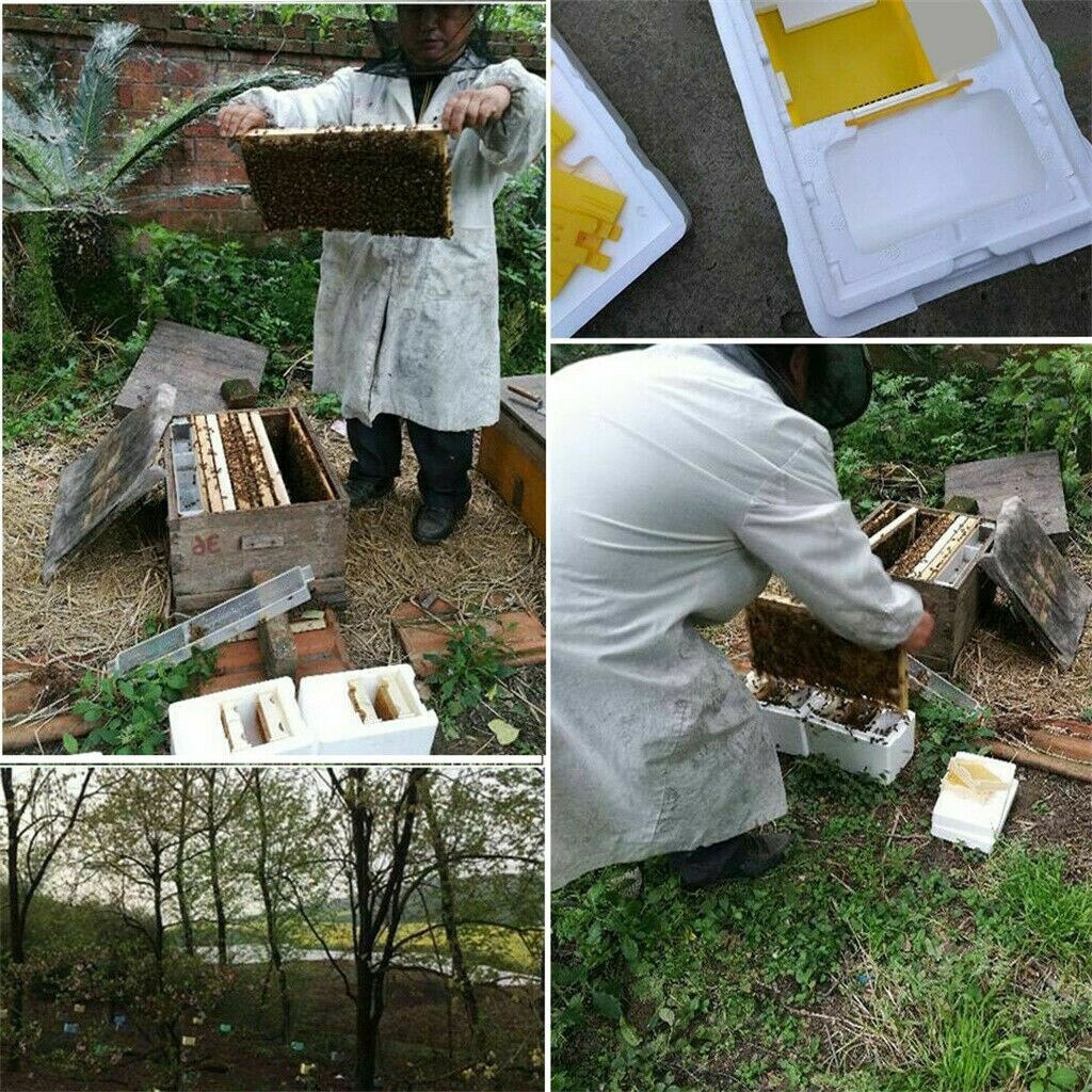 Caja colmena cosechadora polinización de colmena apicultura para apareamiento de abejas aislamiento térmico función antiescape