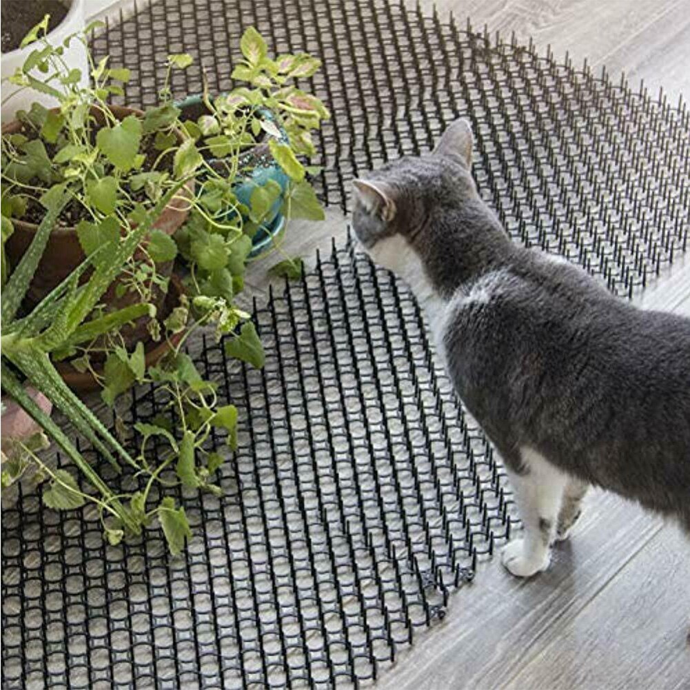 10 pièces/ensemble Scat Mat coffre-fort piqûre antiparasitaire Anti-creusement chat chien pointes sangles extérieur intérieur dissuasif dispositifs Isolation piqueur