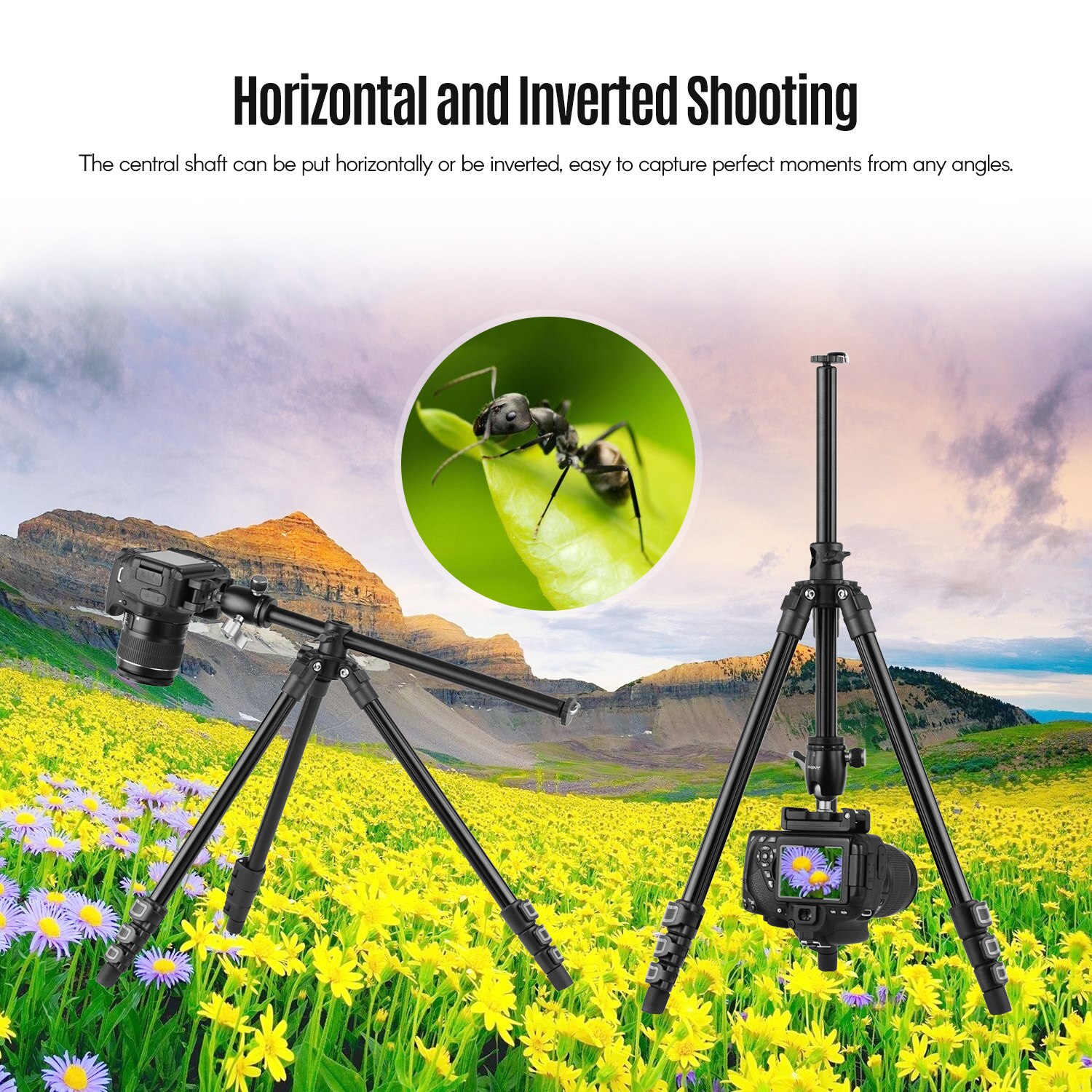 Andoer Q160H Portable Camera Tripod Horizontal Mount Travel Tripod with Remote Control for DSLR Cameras Smartphones