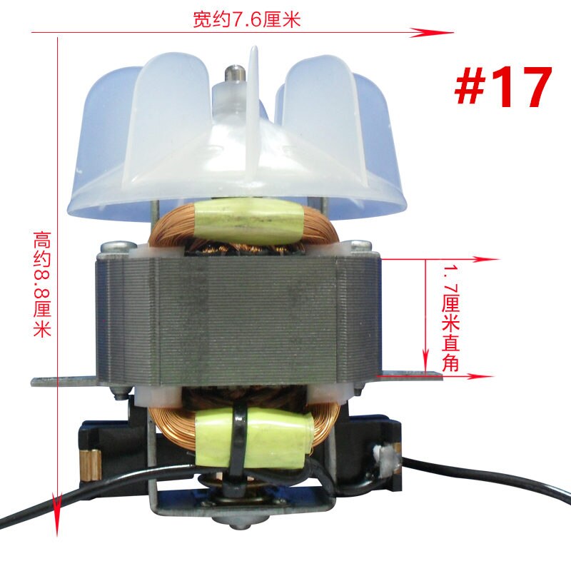 Föhn Onderdelen Voor Kapsalon Professionele High Power Föhn Motor #13 #15 #17 #21 motor Met Ventilator Blad 220V 1800-2100W: 17