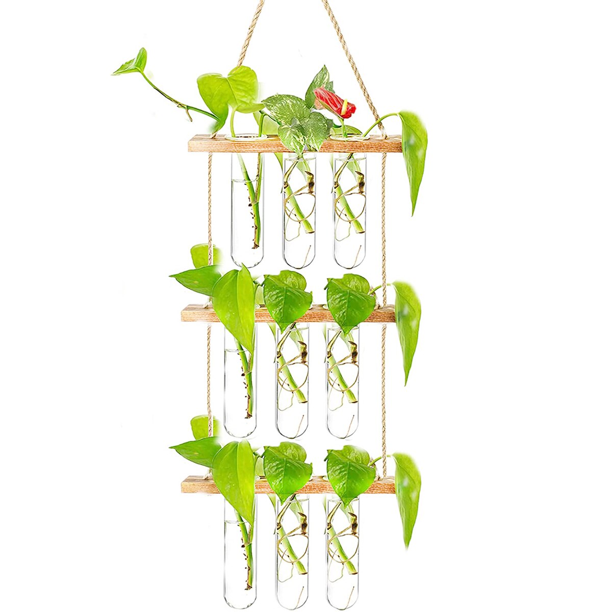 Ins – jardinière murale en verre, Terrarium, Vase avec support de Tube à essai en bois pour la Propagation de plantes hydroponiques: Triple-layer Wood