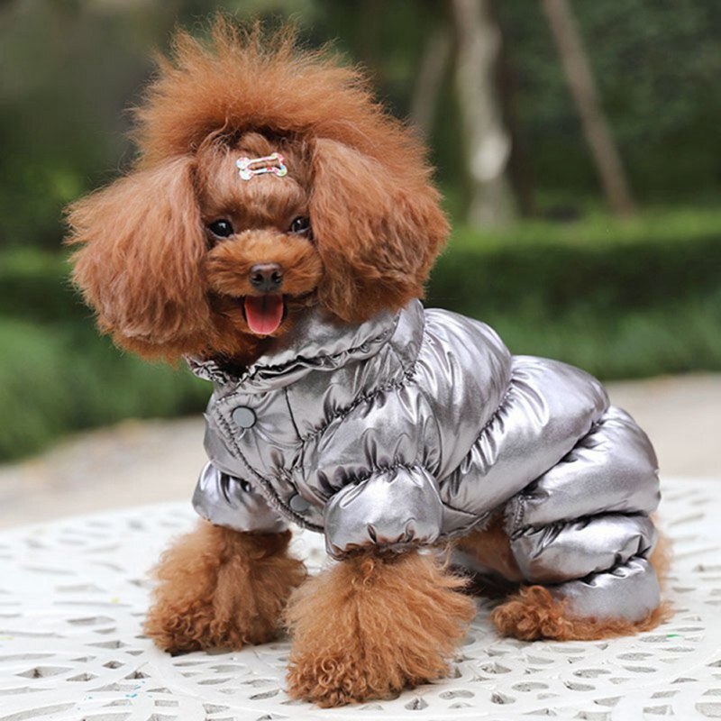 Hund Kleidung Winter Französisch Bulldogge Kleidung wasserdicht Baumwolle gepolstert warm Outfit Jacke Mantel Verdickung Nieder JacketHOT