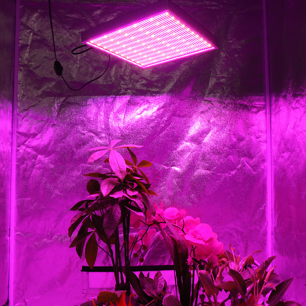 200W LED Grow Light Dimmable Full Spectrum 2000LEDs Growing Phyto Lamp for Plants Hydroponics Flowers Indoor Grow Tent +Dimmer