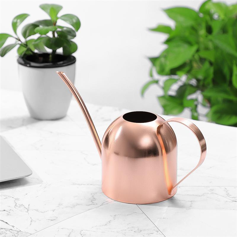 Yardwe 1000ml rega de aço inoxidável pode plantas de interior suculentas bico longo rega pote para jardim em casa escritório (cobre)