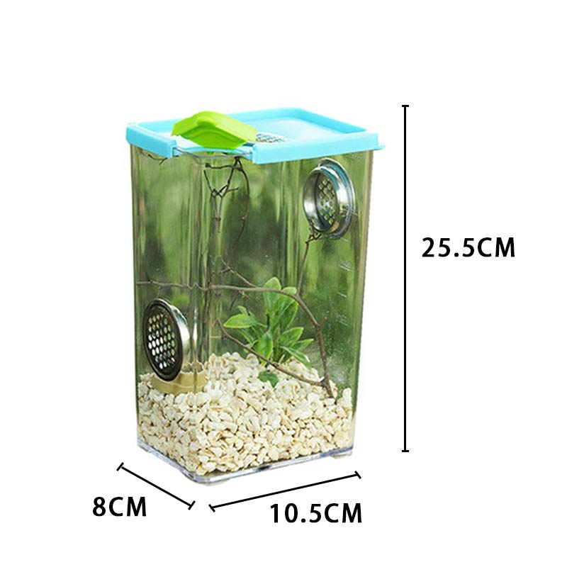 Insect Reptile Spider Terrariums Feeding Box Reptile Cage Hatching Container Rearing Tank Insect House