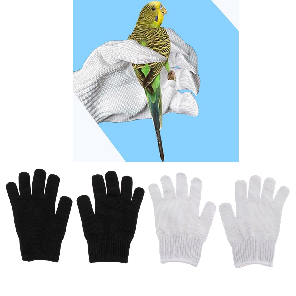 Lucky Reptile Protectie Handschoen Rechts | reptielen