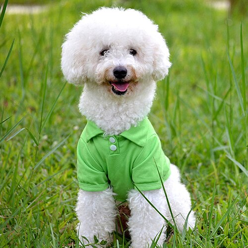 ! Cute Pet Puppy Polo Shirt Kleine Hond Kat Pet Kleding Kostuum Apparel T-Shirt