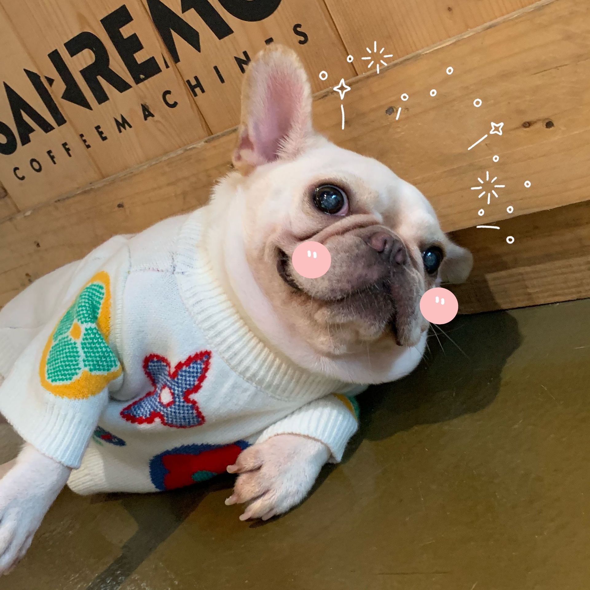 Ropa perro de lujo para pequeños perros mediano ropa linda para gatos producto del animal doméstico del perro ropa de perro Chihuahua, Pitbull, perro Accesorios