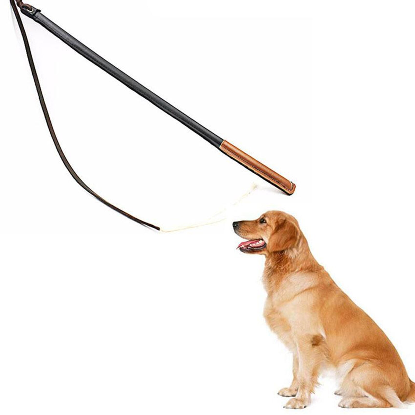 Pu Leer Hond Training Zweep Voor Medium Grote Honden Training Apparatuur