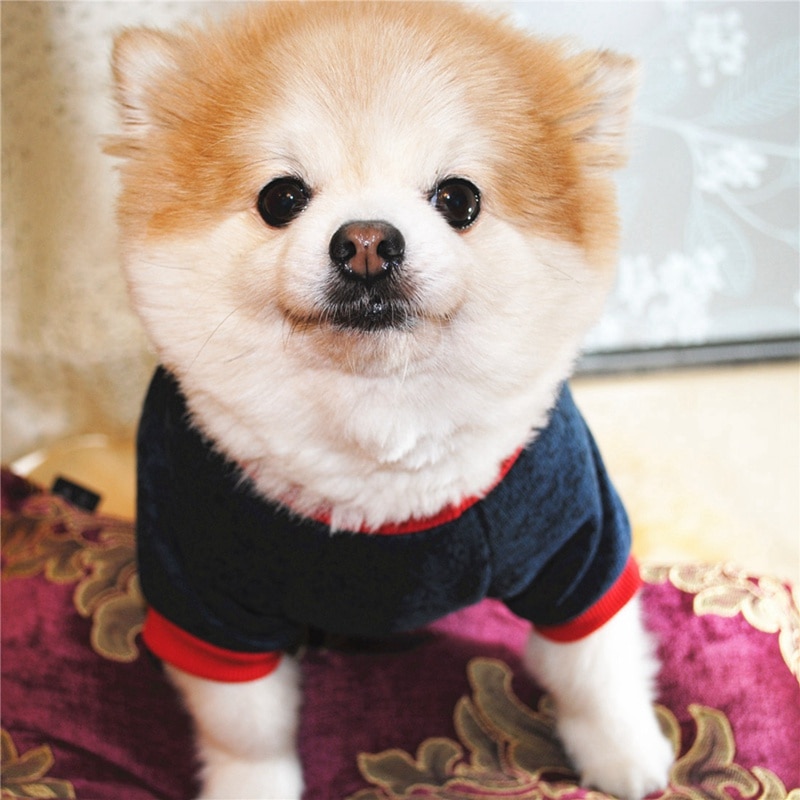 I LOVE MOM Dog Winter Coat Pet Coat Jacket Puppy Chihuahua Dogs Clothes For Dog Winter Clothing