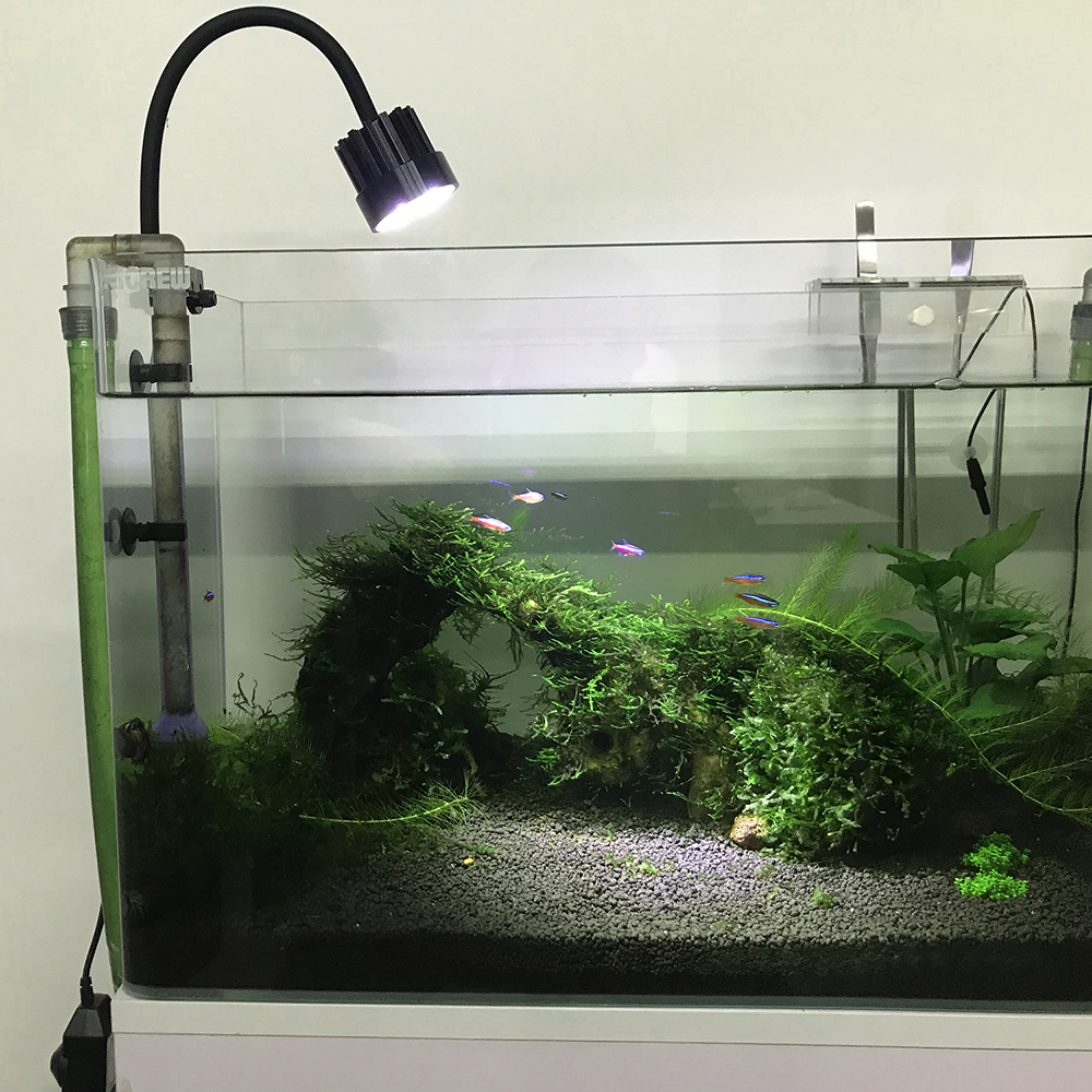 NICREW Aquarium LED Spotlight Clip-On LED Lighting Touch Sensor Switch White LED Clamp Lamp for Fish Tank 4000-12000K 4W 480LM