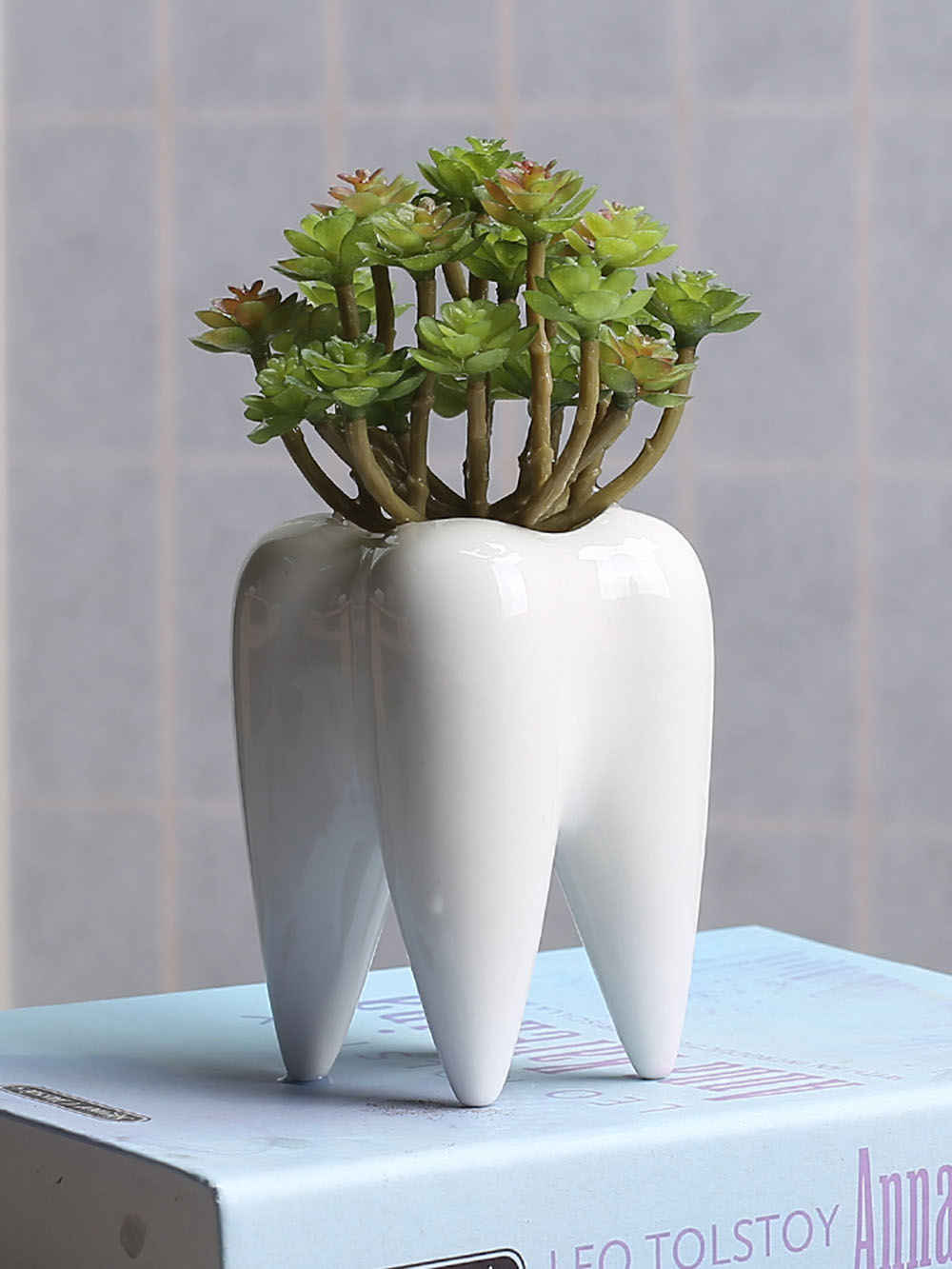 Teeth flowerpot vase tooth statue model dental clinic dental toy dental implant tooth orthodontic halloween garden decor