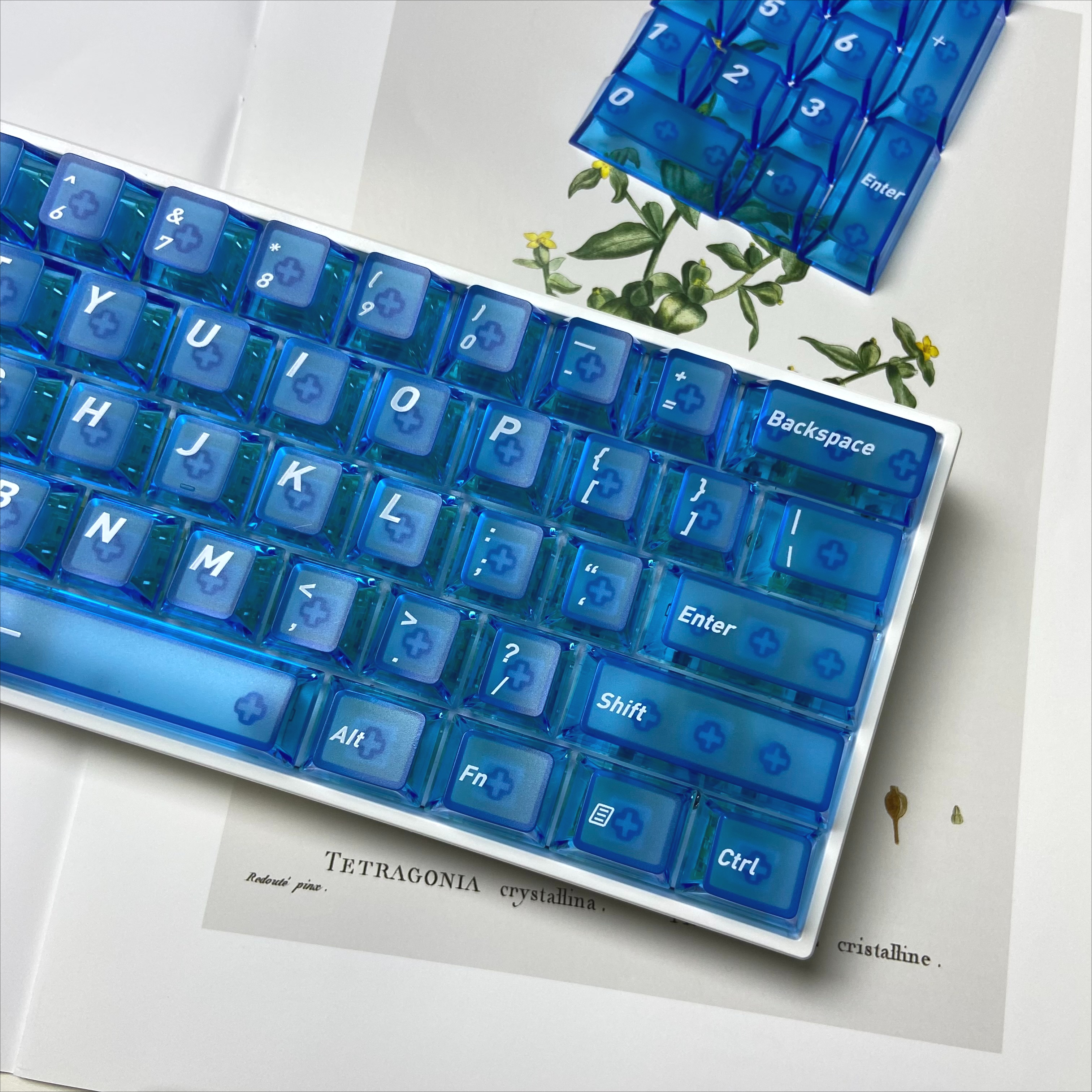 Front Matte Finish Keycaps Sides Translucent Cherry Profile PC Keycaps for Gaming Mechanical Keyboard Key Caps Custom Keyboard