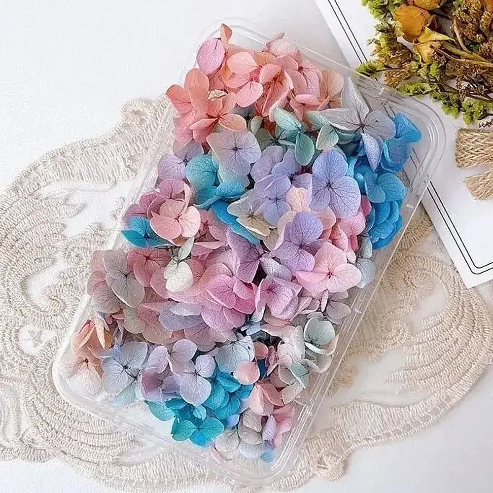 Décalcomanies de fleurs séchées 3D pour Nail Art, autocollants floraux naturels, conceptions de fleurs sèches pour N64.Crafts, accessoires de manucure bricolage
