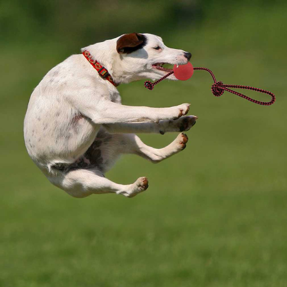 Nobleza honden touwbal met lus