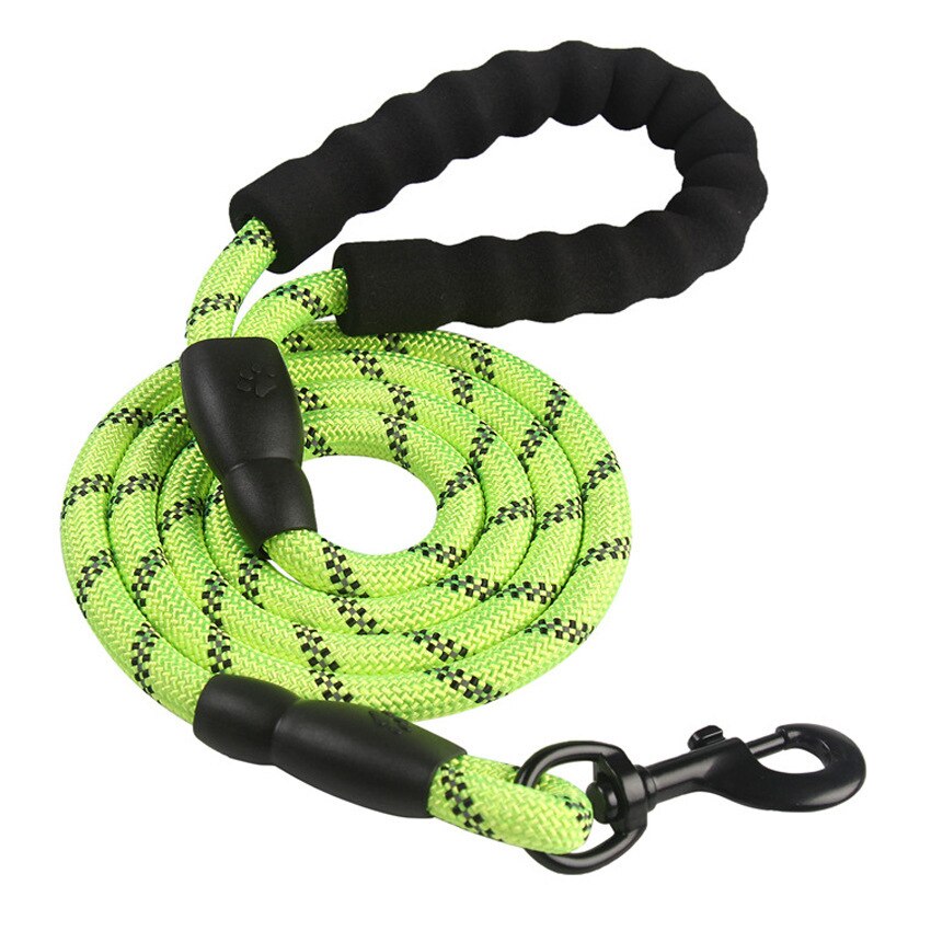 Laisse pour chien en Nylon, corde ronde d'escalade réfléchissante, Durable, 1.5M, petit et moyen gabarit, avec poignée confortable: Green