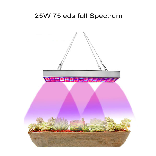 300W LED grow light volledige spectrum phyto plant groei lamp voor indoor Plantaardige zaailing Bloem zaailing tent fitolampy: 25W full spectrum / AU